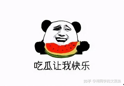 娱乐吃瓜文案图片可爱,可爱吃瓜文案图片大盘点