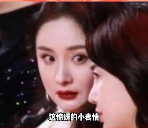 娱乐圈瓜吃不过来