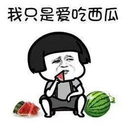 吃娱乐瓜